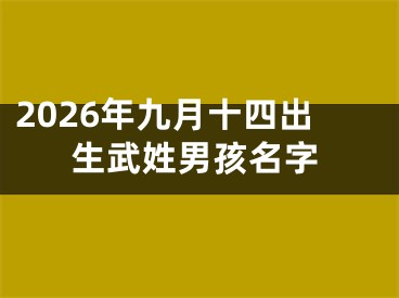 2026年九月十四出生武姓男孩名字