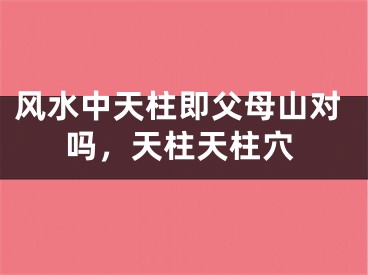 风水中天柱即父母山对吗,天柱天柱穴