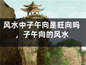 风水中子午向是旺向吗,子午向的风水