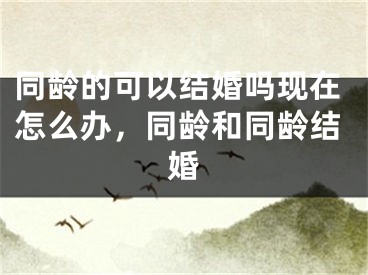同龄的可以结婚吗现在怎么办，同龄和同龄结婚