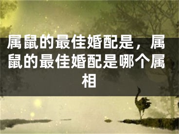 属鼠的最佳婚配是，属鼠的最佳婚配是哪个属相