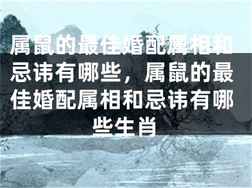 属鼠的最佳婚配属相和忌讳有哪些，属鼠的最佳婚配属相和忌讳有哪些生肖