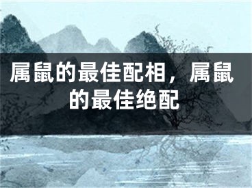属鼠的最佳配相,属鼠的最佳绝配