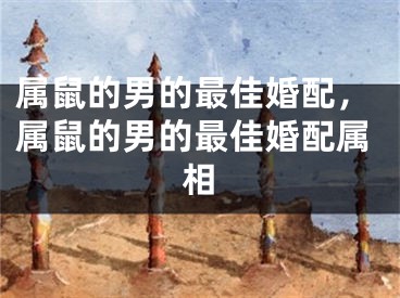 属鼠的男的最佳婚配，属鼠的男的最佳婚配属相