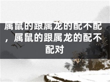 属鼠的跟属龙的配不配,属鼠的跟属龙的配不配对