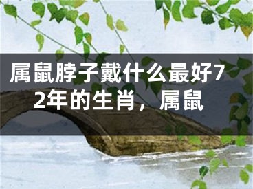 属鼠脖子戴什么最好72年的生肖,属鼠