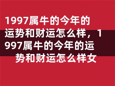 1997属牛的今年的运势和财运怎么样，1997属牛的今年的运势和财运怎么样女