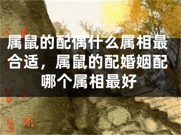 属鼠的配偶什么属相最合适,属鼠的配婚姻配哪个属相最好