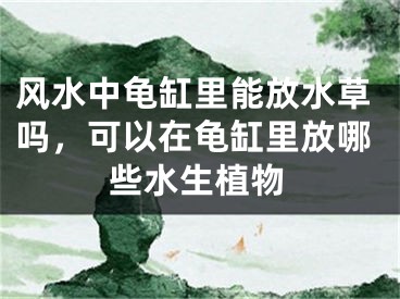 风水中龟缸里能放水草吗,可以在龟缸里放哪些水生植物