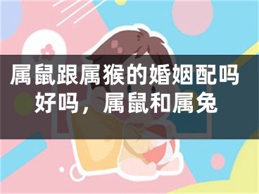 属鼠跟属猴的婚姻配吗好吗,属鼠和属兔