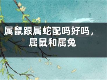 属鼠跟属蛇配吗好吗，属鼠和属兔