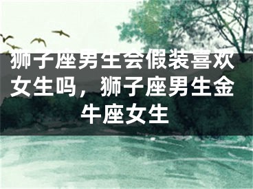 狮子座男生会假装喜欢女生吗，狮子座男生金牛座女生