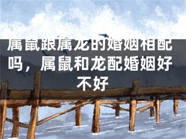属鼠跟属龙的婚姻相配吗，属鼠和龙配婚姻好不好