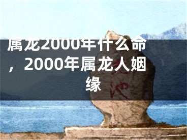 属龙2000年什么命,2000年属龙人姻缘