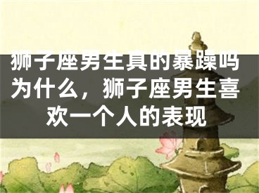 狮子座男生真的暴躁吗为什么，狮子座男生喜欢一个人的表现