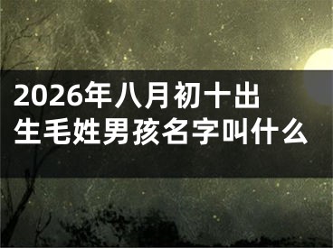 2026年八月初十出生毛姓男孩名字叫什么