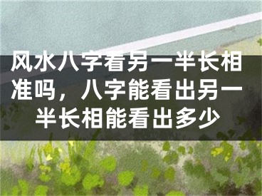 风水八字看另一半长相准吗,八字能看出另一半长相能看出多少