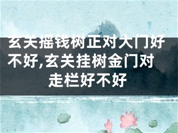 玄关摇钱树正对大门好不好,玄关挂树金门对走栏好不好