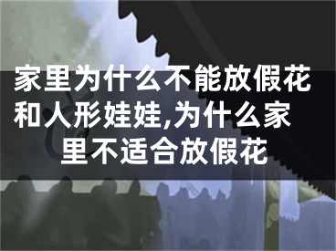 家里为什么不能放假花和人形娃娃,为什么家里不适合放假花