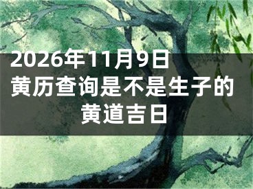 2026年11月9日黄历查询是不是生子的黄道吉日