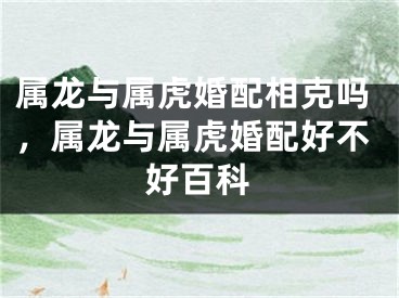 属龙与属虎婚配相克吗，属龙与属虎婚配好不好百科