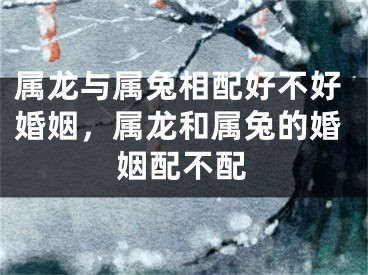 属龙与属兔相配好不好婚姻，属龙和属兔的婚姻配不配