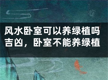 风水卧室可以养绿植吗吉凶,卧室不能养绿植