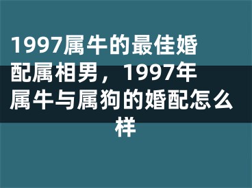 1997属牛的最佳婚配属相男，1997年属牛与属狗的婚配怎么样