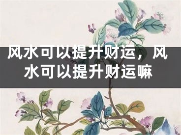 风水可以提升财运，风水可以提升财运嘛