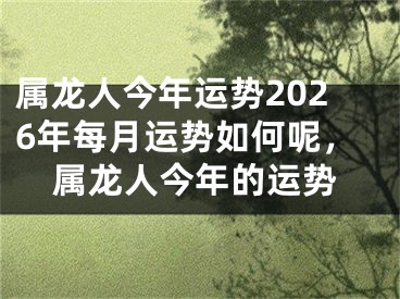 属龙人今年运势2026年每月运势如何呢，属龙人今年的运势