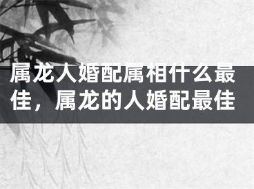 属龙人婚配属相什么最佳，属龙的人婚配最佳