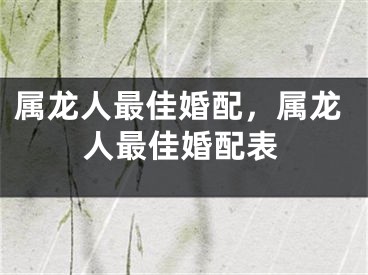 属龙人最佳婚配，属龙人最佳婚配表