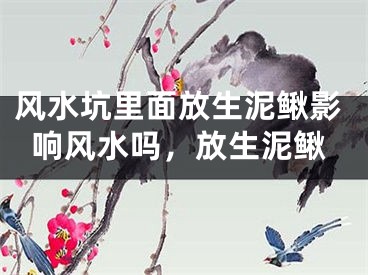 风水坑里面放生泥鳅影响风水吗,放生泥鳅
