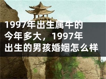 1997年出生属牛的今年多大，1997年出生的男孩婚姻怎么样