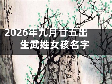 2026年九月廿五出生武姓女孩名字