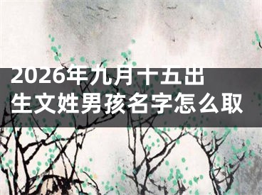 2026年九月十五出生文姓男孩名字怎么取