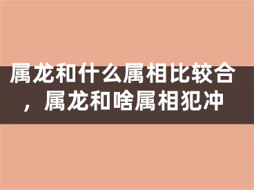 属龙和什么属相比较合，属龙和啥属相犯冲