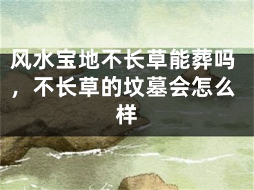 风水宝地不长草能葬吗,不长草的坟墓会怎么样