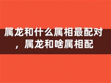 属龙和什么属相最配对，属龙和啥属相配