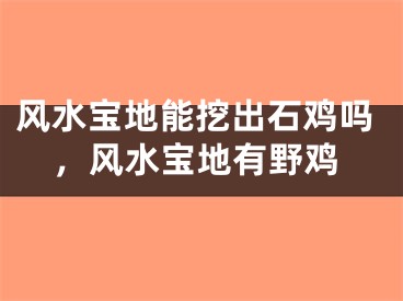风水宝地能挖出石鸡吗，风水宝地有野鸡