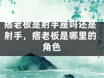 痞老板是射手座吗还是射手,痞老板是哪里的角色