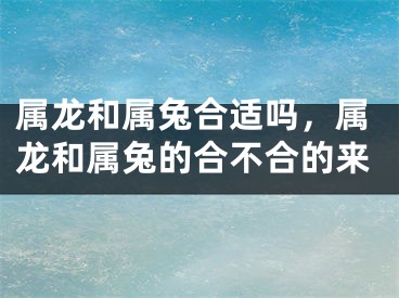 属龙和属兔合适吗，属龙和属兔的合不合的来