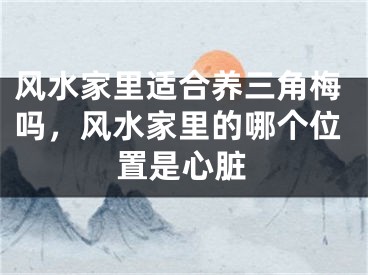 风水家里适合养三角梅吗，风水家里的哪个位置是心脏