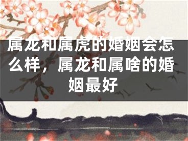 属龙和属虎的婚姻会怎么样,属龙和属啥的婚姻最好