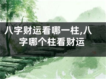 八字财运看哪一柱,八字哪个柱看财运