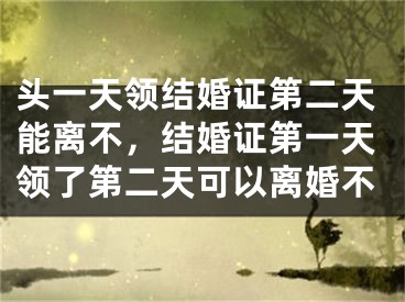 头一天领结婚证第二天能离不，结婚证第一天领了第二天可以离婚不