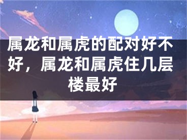 属龙和属虎的配对好不好，属龙和属虎住几层楼最好