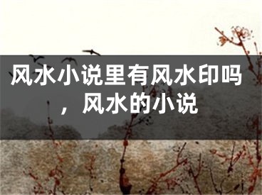 风水小说里有风水印吗,风水的小说