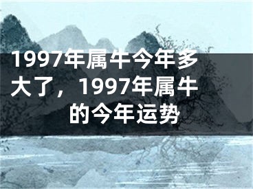 1997年属牛今年多大了，1997年属牛的今年运势