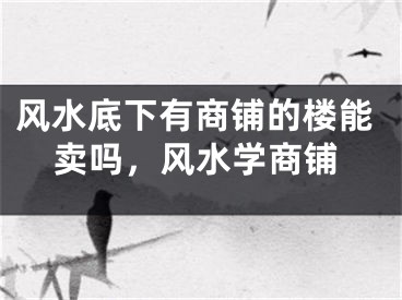 风水底下有商铺的楼能卖吗,风水学商铺